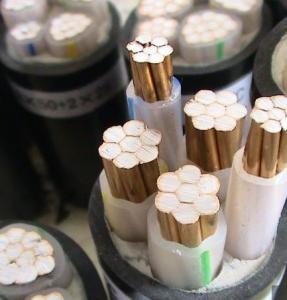 防水防蚁鼠电力电缆