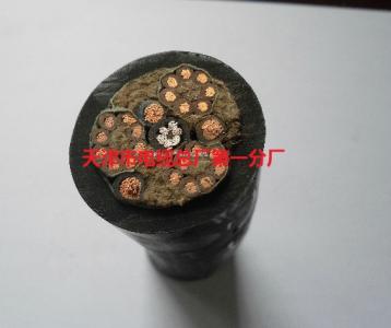 YC-J天车/卷筒/起重机电缆
