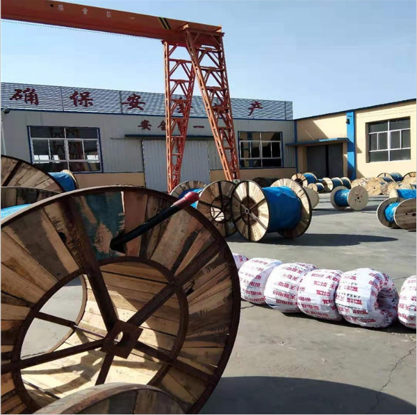 天津市电缆总厂第一分厂 (3).png